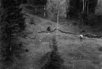 Vajont, crónica de una tragedia anunciada Vajont, crónica de una tragedia anunciada