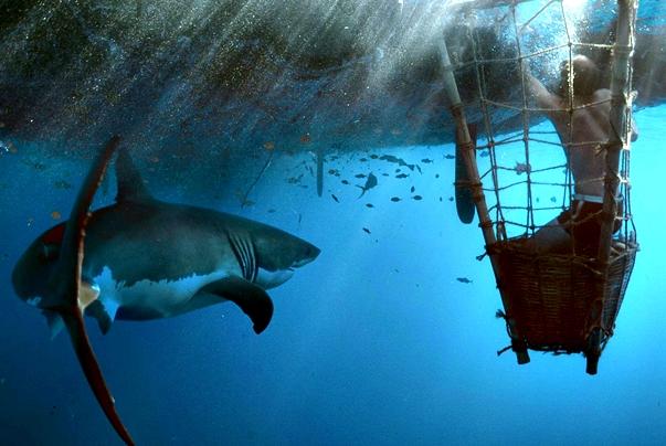 Crítica Kon Tiki, una aventura épica Kon tiki 1 Crítica Kon Tiki, una aventura épica