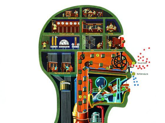 el cuerpo como máquina el país