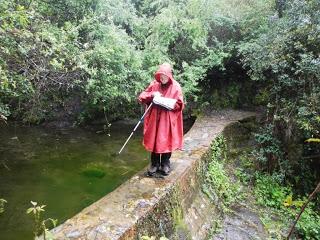 De Molins de Rei al Baixador de Vallvidrera per la Rierada De Molins de Rei al Baixador de Vallvidrera per la Rierada