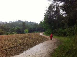 De Molins de Rei al Baixador de Vallvidrera per la Rierada De Molins de Rei al Baixador de Vallvidrera per la Rierada
