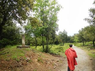 De Molins de Rei al Baixador de Vallvidrera per la Rierada De Molins de Rei al Baixador de Vallvidrera per la Rierada