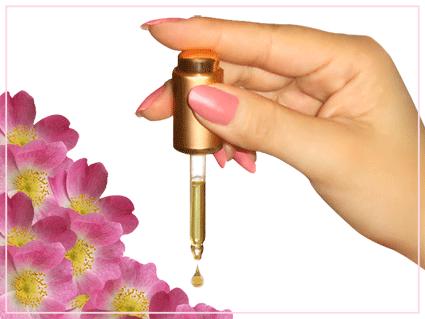 ¿conocéis los beneficios del aceite rosa de mosqueta? ¿conocéis los beneficios del aceite rosa de mosqueta?
