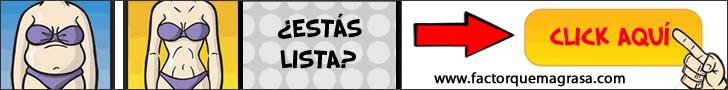 alimentos quemadores de grasa alimentos quemadores de grasa
