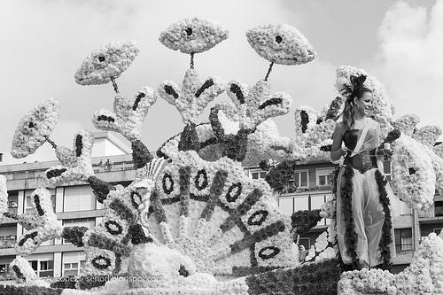 Batalla de las flores 2013, Laredo