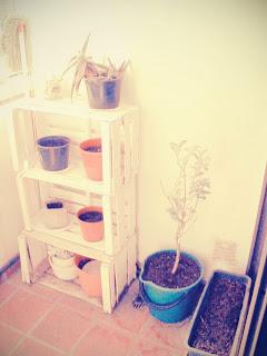 DIARIO DE UNA INTROVERTIDA DIARIO DE UNA INTROVERTIDA