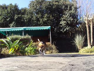 DIARIO DE UNA INTROVERTIDA DIARIO DE UNA INTROVERTIDA