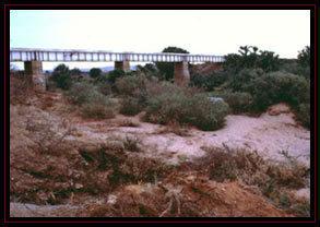 Historias de un Mito: La Masacre de Tsavo. Fantasmas y Oscuridad