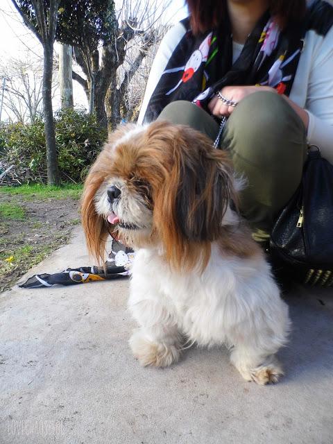 Soy una fan declarada de Fifi Lapin, las niñas del mundo ... Soy una fan declarada de Fifi Lapin, las niñas del mundo ...