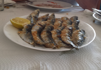 Costa del Sol. Un día de excursión. Costa del Sol. Un día de excursión.