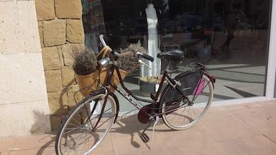 Costa del Sol. Un día de excursión. Costa del Sol. Un día de excursión.