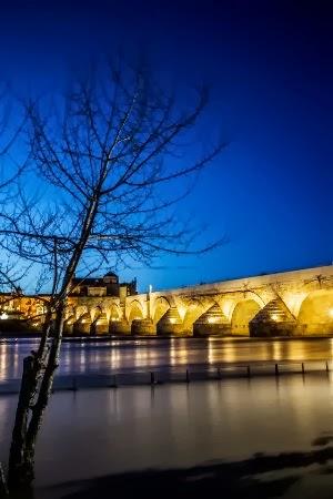 Daniel Degayón - obra Patios y rejas de Córdoba-Grupo de Arte 20.16