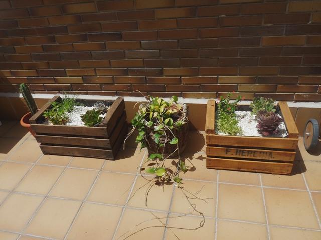 Una terraza con palets y cajas de frutas