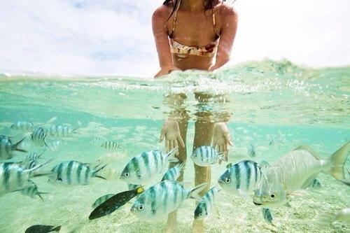 ¿QUÉ ME PONGO PARA IR DE VACACIONES? ¿QUÉ ME PONGO PARA IR DE VACACIONES?