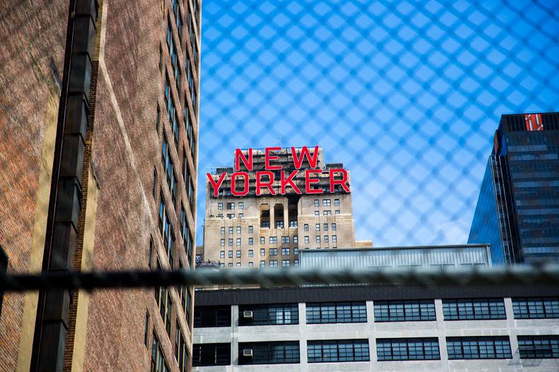 Stripes & Leopard Stripes & Leopard