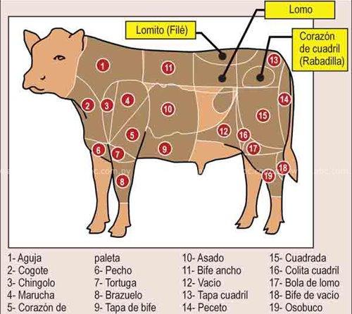 Cortes y tipos de carnes (res) por paises