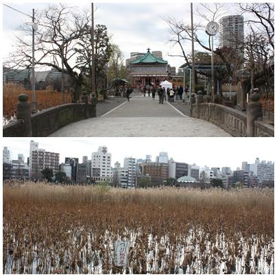 Nochevieja y Año Nuevo en Tokio Nochevieja y Año Nuevo en Tokio