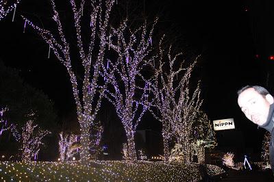Nochevieja y Año Nuevo en Tokio Nochevieja y Año Nuevo en Tokio