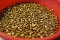 Soja Verde con Verduritas y Chorizo Soja Verde con Verduritas y Chorizo