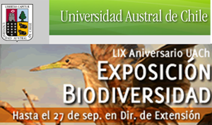 Expo biodiversidad300x200