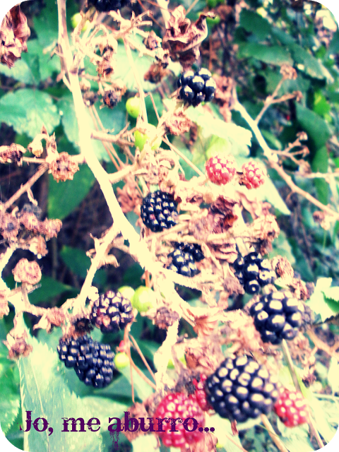 Un buen plan para estas fechas Un buen plan para estas fechas