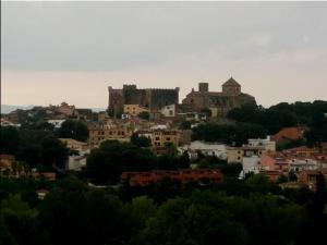 REFLEJOS AL NATURAL. Lugares: Altafulla ( Tarragona ). 12 de septiembre de 2013 ALTAFULLA megustaelmedionatural