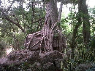 Casa del Monte. Atyra. Paraguay Casa del Monte. Atyra. Paraguay