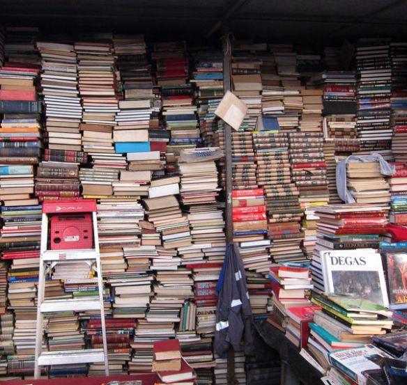 Chile día 2 08 Mochilando por Chile. Día 2: Quinta Normal y Persa Bio-Bio.