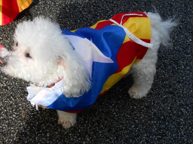 JO HI VAIG SER.JO VAIG FER HISTÒRIA...13-09-2013... JO HI VAIG SER.JO VAIG FER HISTÒRIA...13-09-2013...