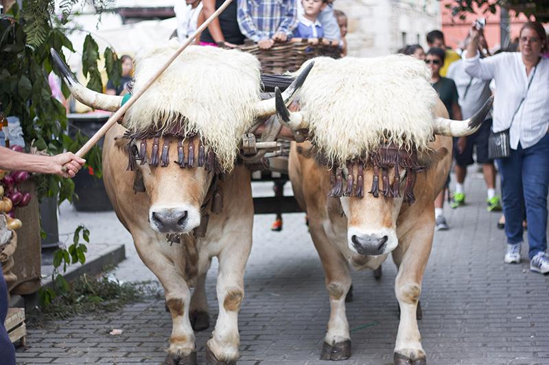 Asturias&Cantabria; photodiary