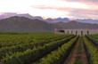 Viajes y Excursiones en Argentina: La Rioja (1a parte). Viajes y Excursiones en Argentina: La Rioja (1a parte).