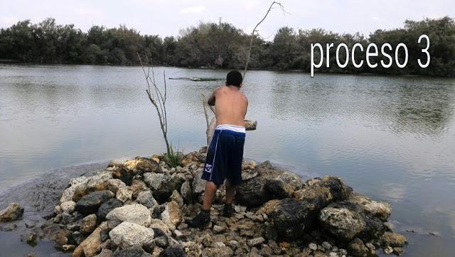 Mejoras de hábitat en la Laguna de Fuente del Rey (Dos Hermanas, Sevilla) a manos de sus vecinos - Improvement of habitat in Fuente del Rey Lagoon (Dos Hermanas, Seville) made by neighbors.