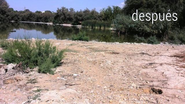Mejoras de hábitat en la Laguna de Fuente del Rey (Dos Hermanas, Sevilla) a manos de sus vecinos - Improvement of habitat in Fuente del Rey Lagoon (Dos Hermanas, Seville) made by neighbors.