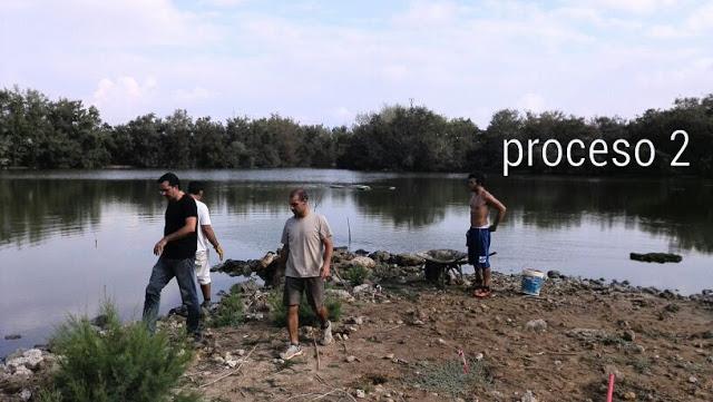 Mejoras de hábitat en la Laguna de Fuente del Rey (Dos Hermanas, Sevilla) a manos de sus vecinos - Improvement of habitat in Fuente del Rey Lagoon (Dos Hermanas, Seville) made by neighbors.