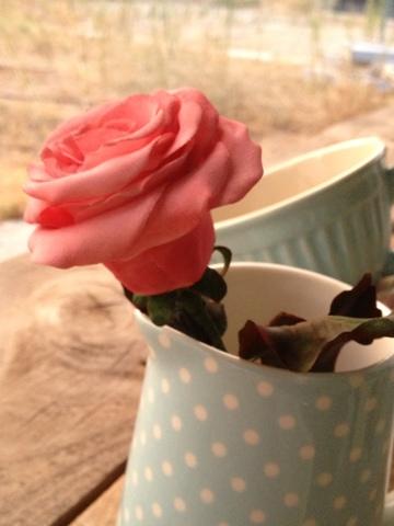 Rosa de fondant... Rosa de fondant...