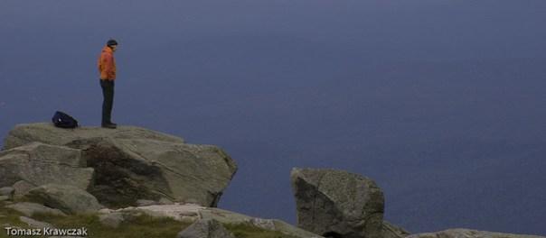 Multimedia: el mejor apoyo a un post de texto Multimedia el mejor apoyo a un post de texto