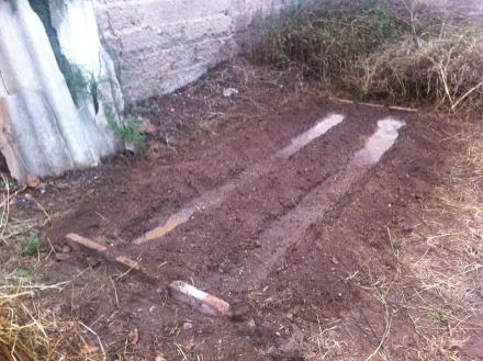 Preparando terreno para plantar calçots! Nuevo bancal