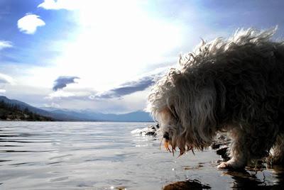 Saudades… Saudades…