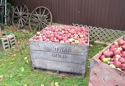 Visita a la granja Myers, Dundas, ON, Canadá