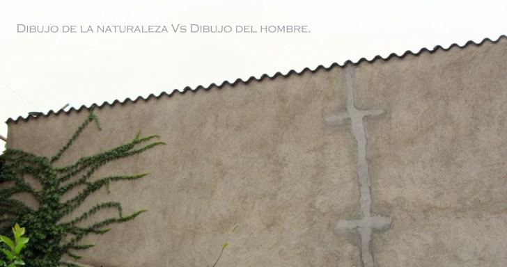 Píldoras. naturvshpombre