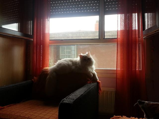 Androidografia Barakaldo CCCXXVI. Los curiosos III Androidografia Barakaldo 1486