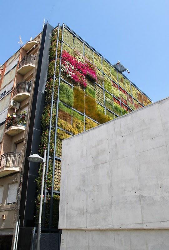 Jardín vertical en San Vicente.