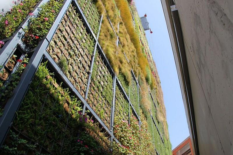 Jardín vertical en San Vicente.