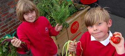 De la tierra a la mesa De la tierra a la mesa