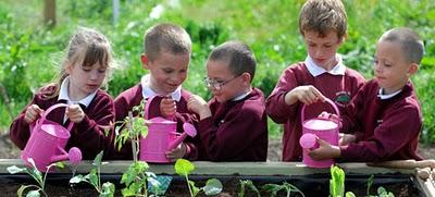 De la tierra a la mesa De la tierra a la mesa