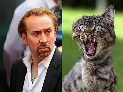 Nicolás Cage y Lewis, su gato, se drogaban juntos