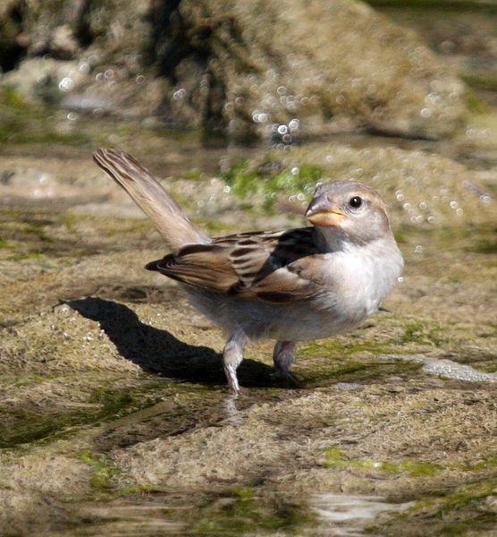 2ª SALIDA DE JULIO AGUA Y SED/2nd JULY OUT WATER AND SED 2ª SALIDA DE JULIO AGUA Y SED/2nd JULY OUT WATER AND SED