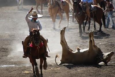 Definidos los 12 Magníficos del Excelencia “Bicentenario” Ford 2010 Definidos los 12 Magníficos del Excelencia “Bicentenario” Ford 2010