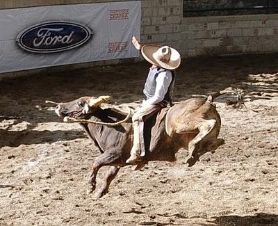 Definidos los 12 Magníficos del Excelencia “Bicentenario” Ford 2010 Definidos los 12 Magníficos del Excelencia “Bicentenario” Ford 2010