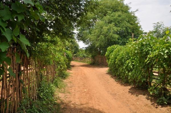 DSC_0033 Viendo la vida pasar desde Hsipaw